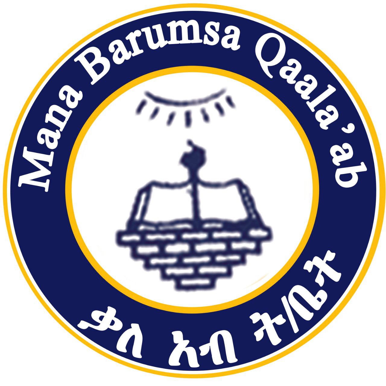 Kaleab School - Client logo